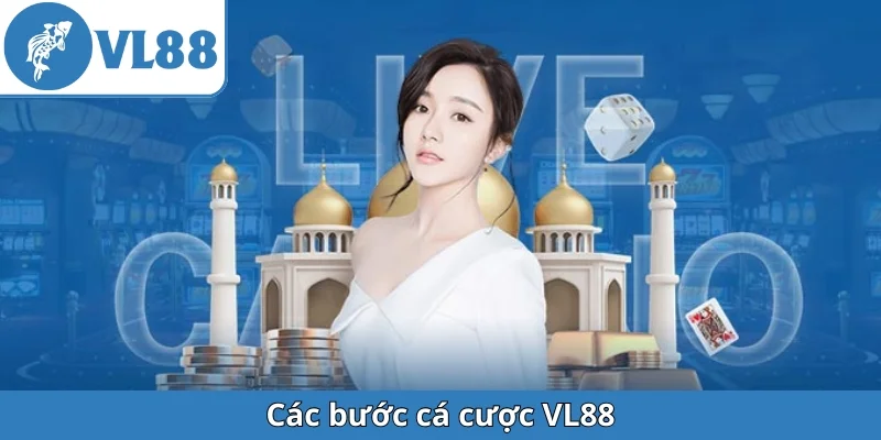 cac-buoc-ca-cuoc-vl88