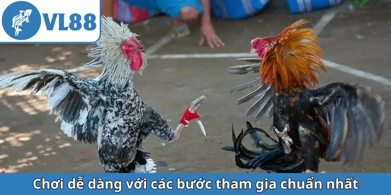 choi-de-dang-voi-cac-buoc-tham-gia-chuan-nhat