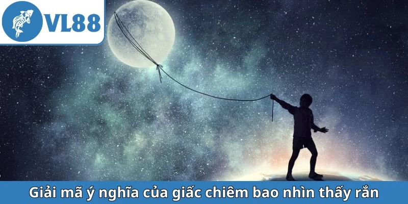 giai-ma-y-nghia-cua-giac-chiem-bao-nhin-thay-ran