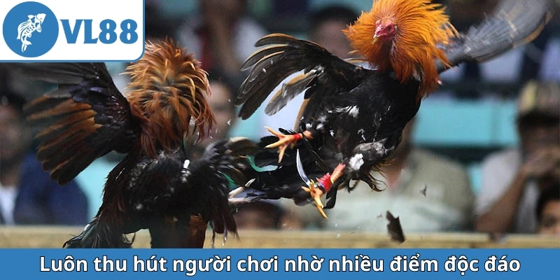 luon-thu-hut-nguoi-choi-nho-nhieu-diem-doc-dao