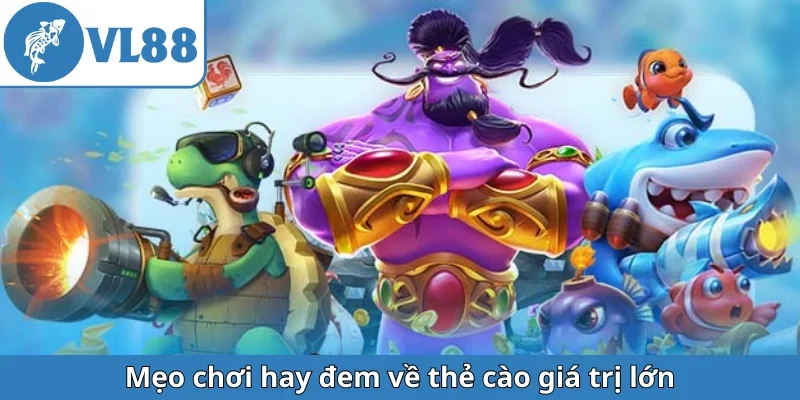 meo-choi-hay-dem-ve-the-cao-gia-tri-lon